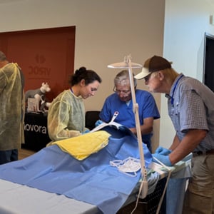 Movora and iM3 and Vertical Vet education