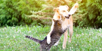 Your Blog Post Title Here... (Clone) (Clone) image