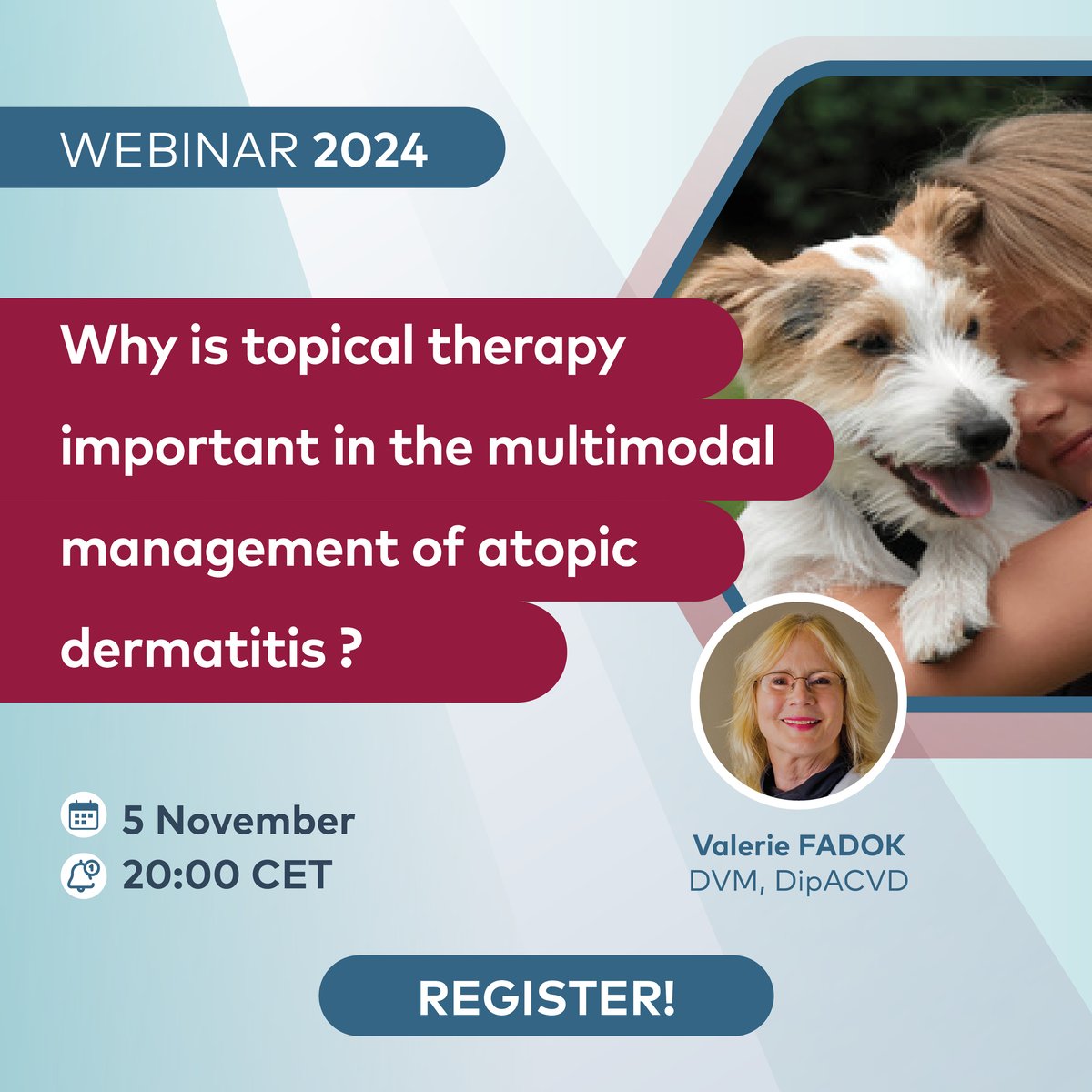 webinaire Valerie FADOK EN 05.11.2024 